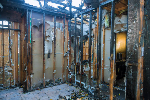 Professional Emergency Fire Cleanup technician working in Forest Meadows, CA